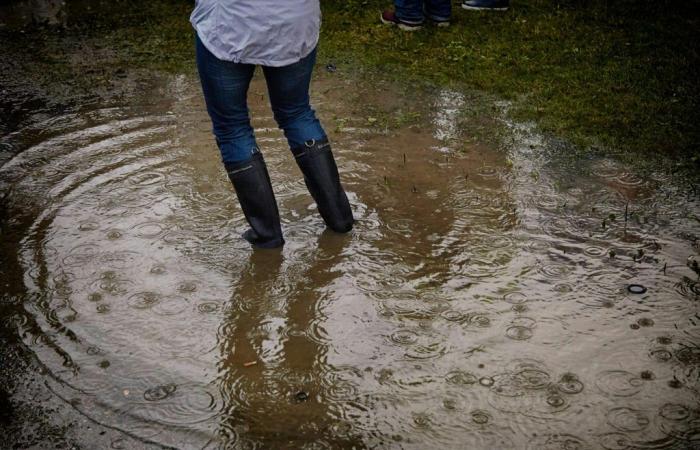 Allerta arancione e inondazioni nei Pirenei Atlantici e nell’Aude · Azione degli agricoltori dell’Alta Garonna · Tolosa “consacrata” ieri sera dalla Chiesa cattolica