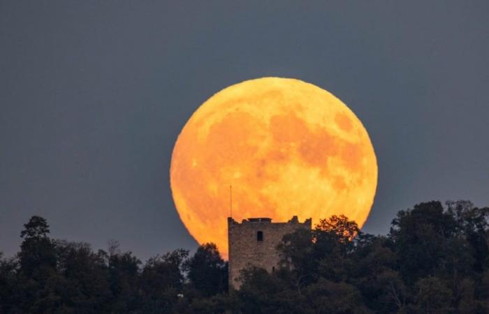 Superluna e cometa compaiono in cielo contemporaneamente: le risposte più importanti – News