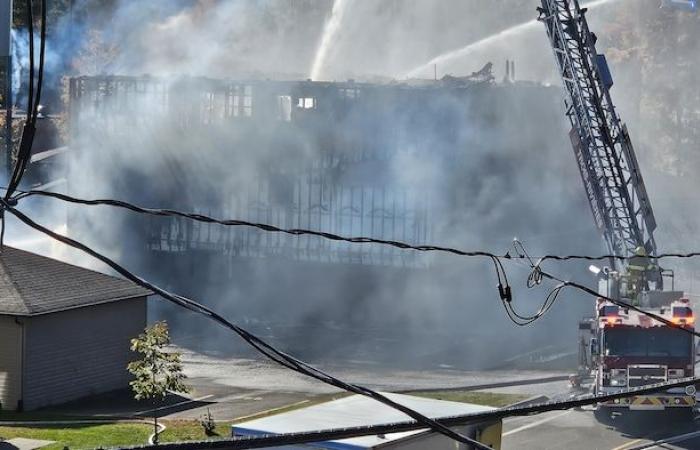 La madre muore nel fuoco