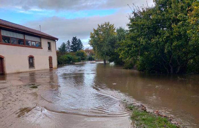 Episodio delle Cévennes: foto e video delle inondazioni nell’Alta Loira