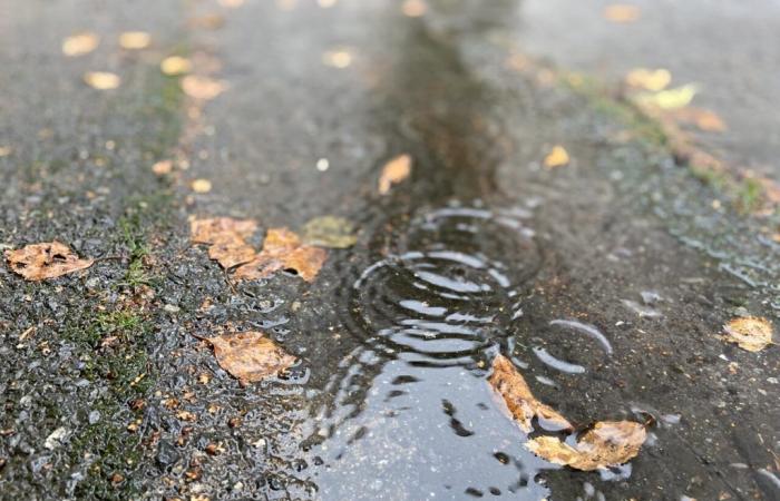 Temporali, pioggia e rischio allagamenti… il Var mette in allerta arancione, cautela obbligatoria fino a venerdì