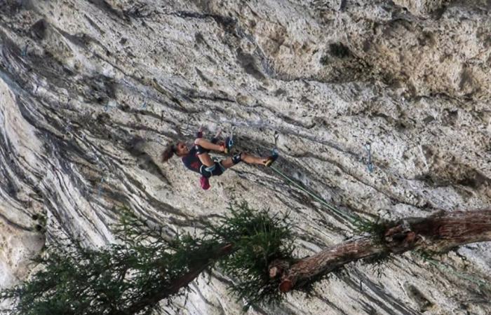 In diretta dal Verdon: Laura Rogora batte e segna un 8c a vista! · PlanetClimb