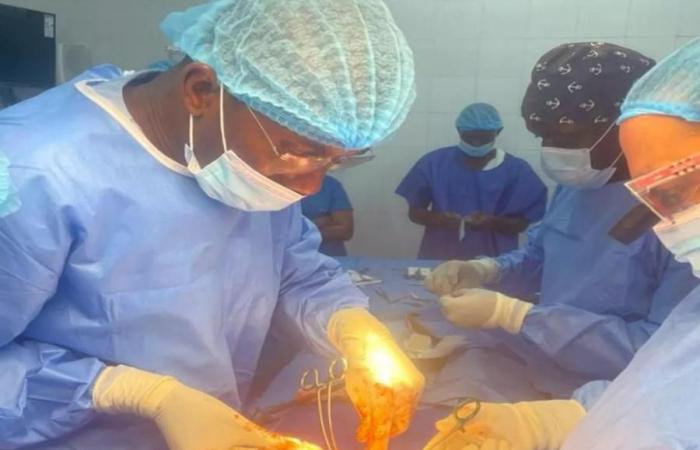 DONAZIONE DI ORGANI, IL SENEGAL INTENSIFICA I SUOI ​​SFORZI PER I TRAPIANTI