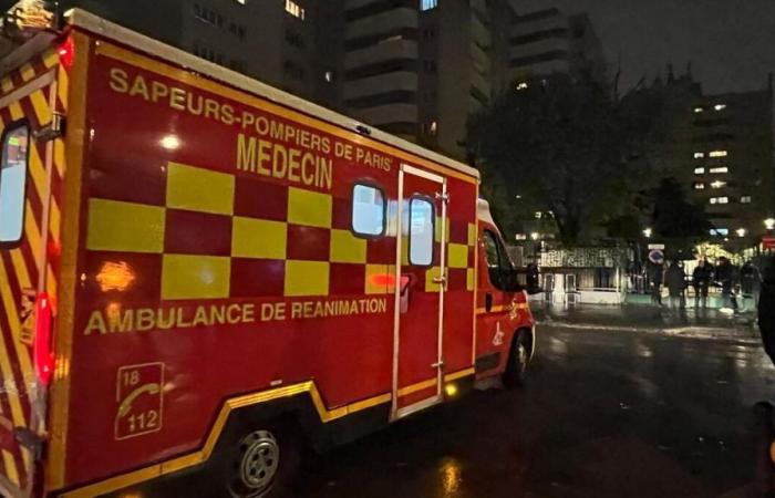 Parigi: un morto dopo la caduta di un albero nel 19esimo arrondissement