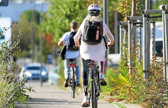 I ciclisti devono essere “riconosciuti come utenti con pieni diritti”