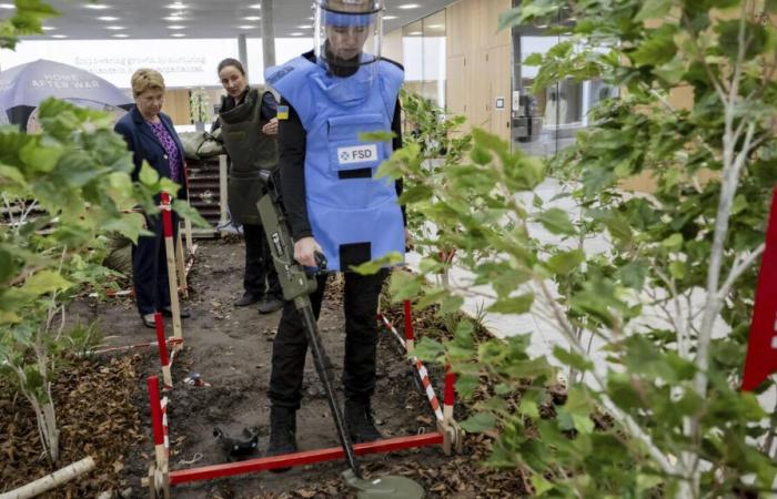 Sminamento in Ucraina: “Il compito è molto più grande delle risorse disponibili”