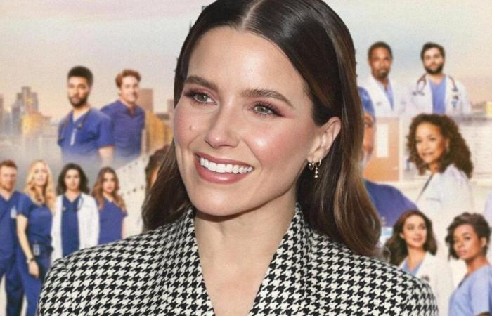 Sophia Bush dei fratelli Scott sarà la protagonista di Grey’s Anatomy