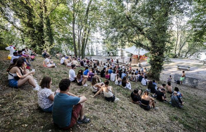 L’ecologia nella cultura secondo Maxime Noly: il Festival di Woodstower, un nuovo modello di successo