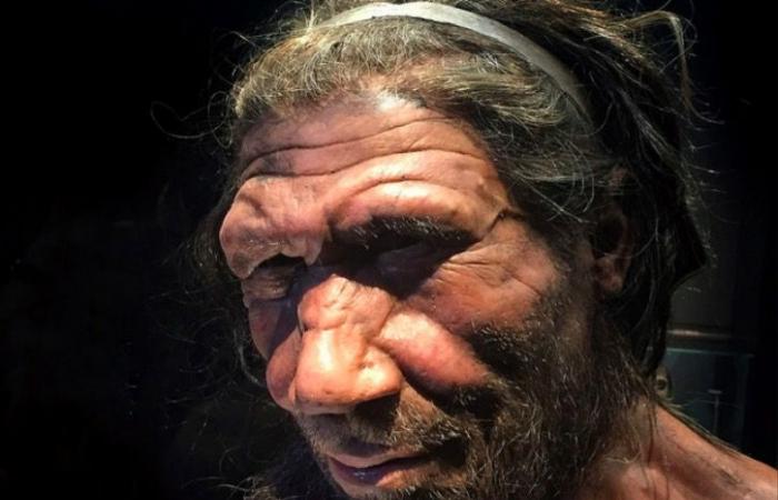 I Neanderthal non respiravano come noi