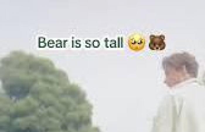 Le foto e i commenti più dolci di Liam Payne sull’essere papà del figlio Bear, 7 anni