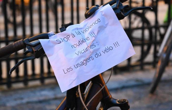 Testimonia la madre del ciclista ucciso da un automobilista a Parigi: “Nessuna attenuante”