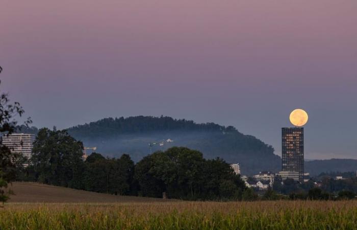 Superluna e cometa compaiono in cielo contemporaneamente: le risposte più importanti – News