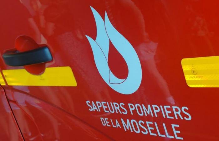 Mosella. Auto contromano sulla A31: due morti a Mondelange