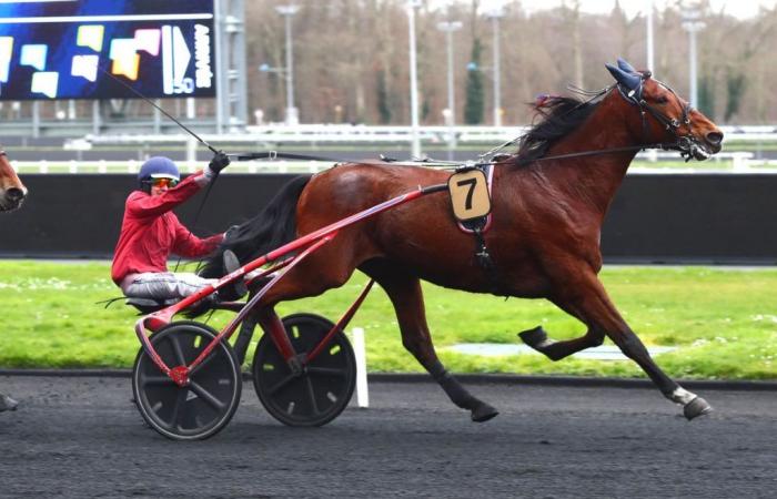 Premio Thémis, Quinté+, Isofou du Chêne come base di gioco