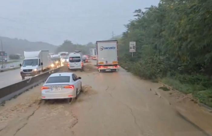 [LIVE] Maltempo: il Gier continua a salire, la A47 ancora tagliata