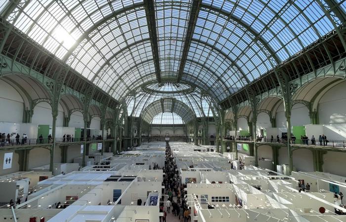 Art Basel Paris 2024: saggia come un quadro, costosa come un diamante