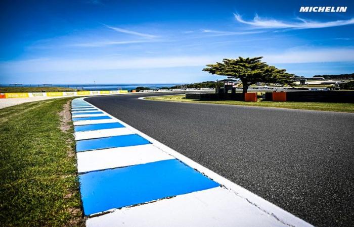 MotoGP Australia Michelin: pneumatici Power messi alla prova sul nuovo asfalto di Phillip Island