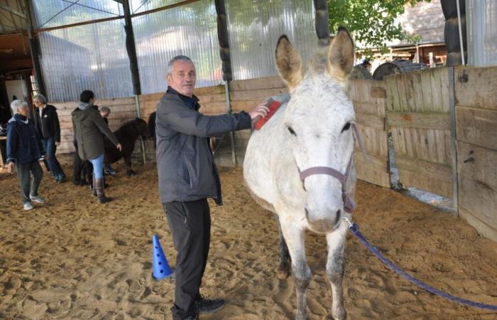 gli anziani beneficiano di sessioni di ippoterapia