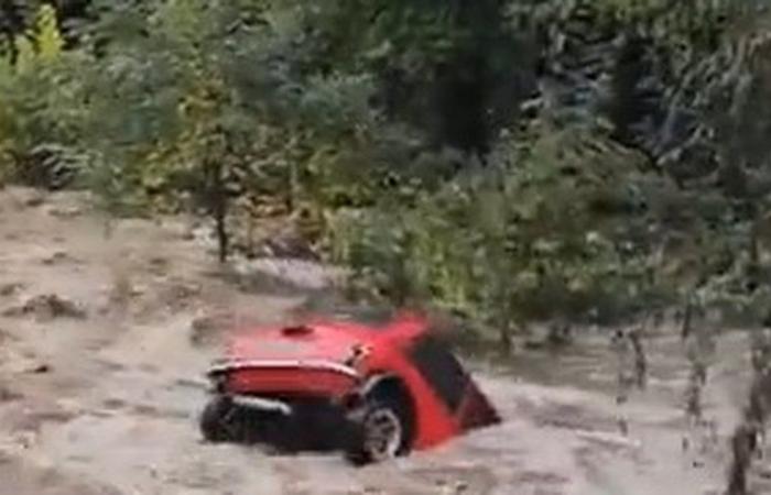 Allarme rosso “alluvione”: mucca spazzata via, auto ribaltata… Le prime immagini impressionanti delle piogge torrenziali che cadono sulla Francia