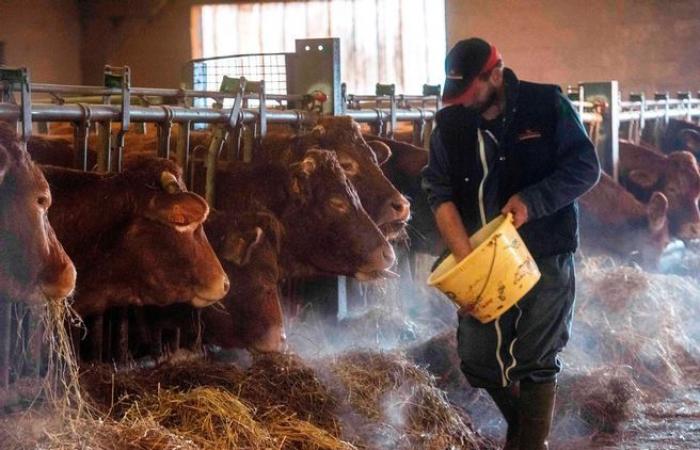 Una giornata per parlare dell’infelicità degli agricoltori organizzata a Puy-de-Dôme