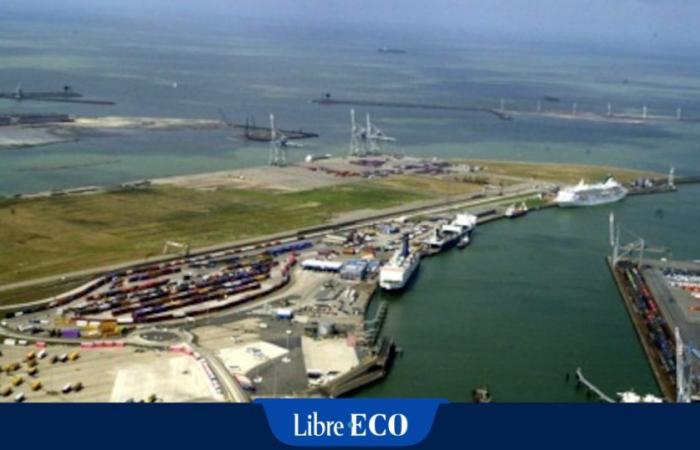 L’Europa e Zeebrugge aumentano le importazioni di gas russo