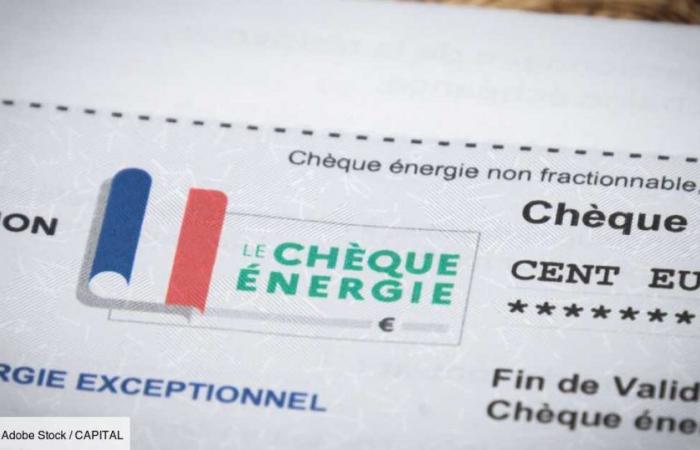 Perché il nuovo controllo energetico farà arrabbiare molti francesi