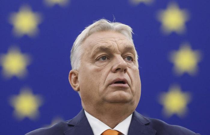 Viktor Orban, il finanziere dell’estrema destra europea