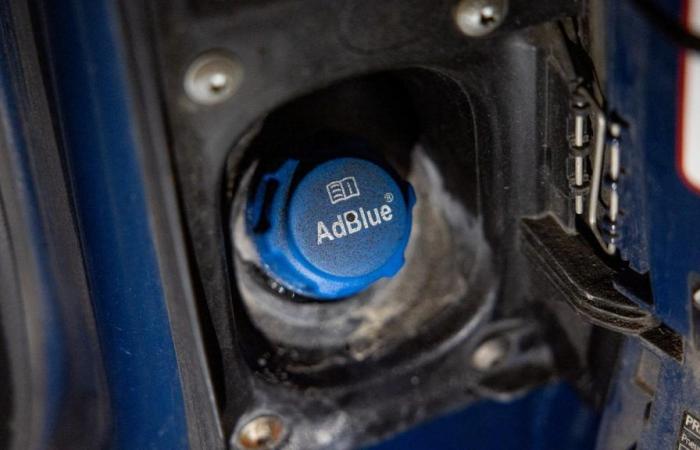 AdBlue: quali modelli di auto sono più colpiti?