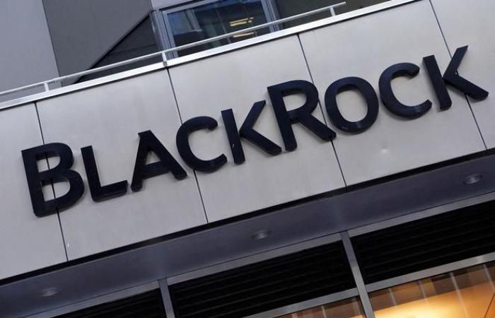 BlackRock accusata di “ingannare gli investitori” con alcuni dei suoi investimenti “sostenibili”.