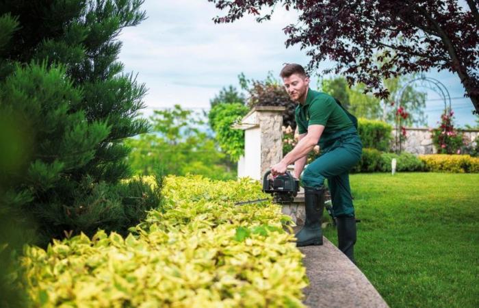 Due offerte di lavoro nella realizzazione degli spazi verdi e nel lavoro di segreteria