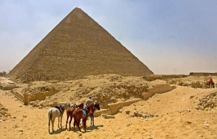 Questo cane sta prendendo il sole in cima alla piramide di Cheope, il video sta diventando virale