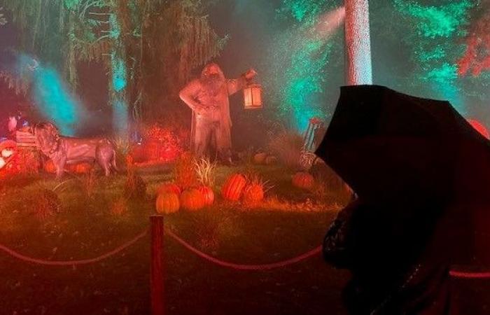 Harry Potter: un’esperienza immersiva unica in Francia al Giardino delle Piante di Montauban