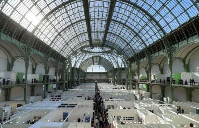 Art Basel Paris 2024: saggia come un quadro, costosa come un diamante