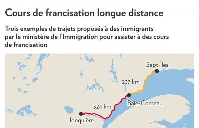 Ore di guida per corsi di francese