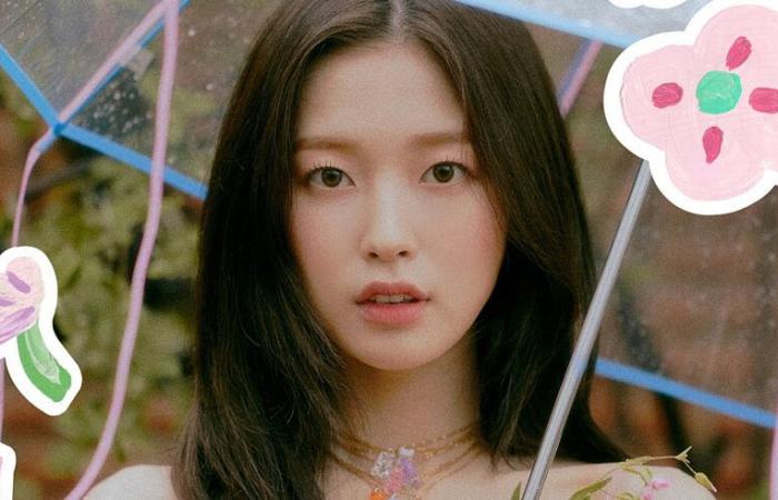 Arin (OH MY GIRL) vince una causa contro una società di videogiochi e una società pubblicitaria che si sono rifiutate di pagarla – K-GEN