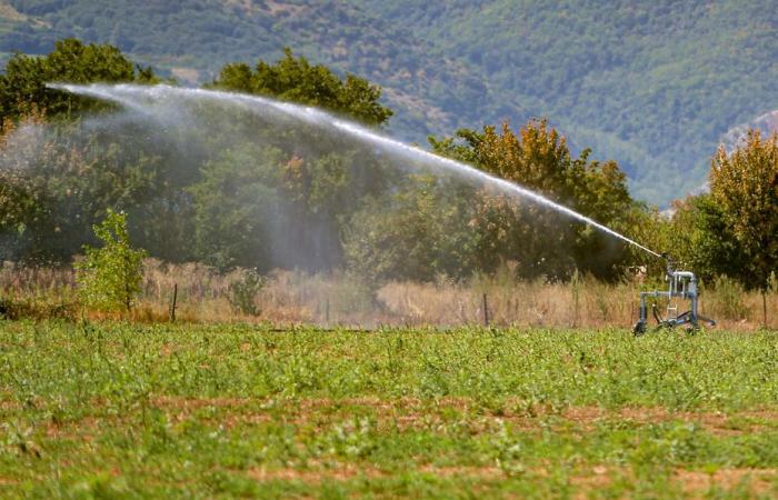 Le ultime misure di restrizione idrica revocate in Haute-Corse