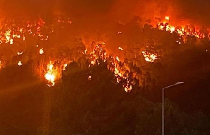 Due abitanti del Loiret si mobilitano per aiutare le popolazioni colpite dagli incendi in Portogallo