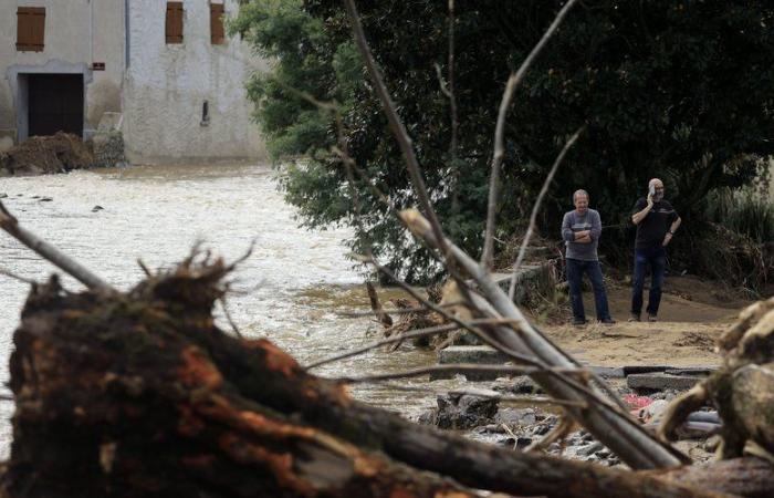 Inondazioni: Ardèche, Lozère, valle del Gier… Météo France fa il punto: ecco dove gli accumuli di pioggia sono stati più impressionanti