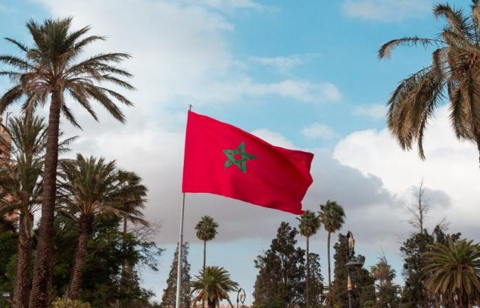 l’orizzonte si oscura per l’arancio marocchino