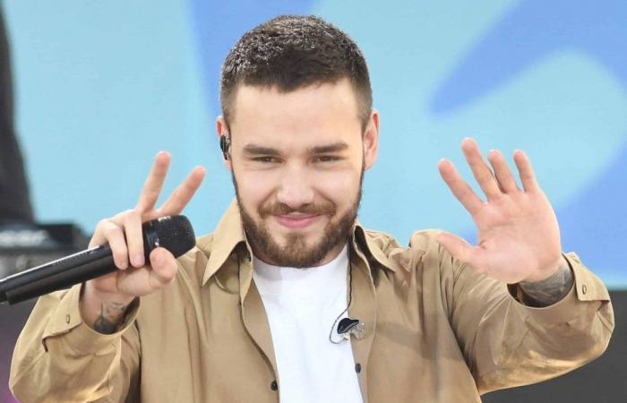 P. Affare Diddy: Liam Payne coinvolto? Un famoso YouTuber francese rompe il silenzio