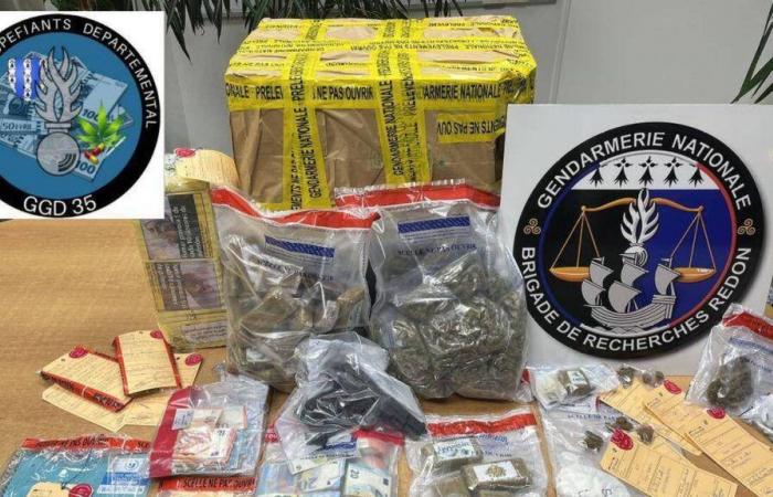 Cannabis, cocaina… Smantellato il traffico di droga e di sigarette nell’Ille-et-Vilaine