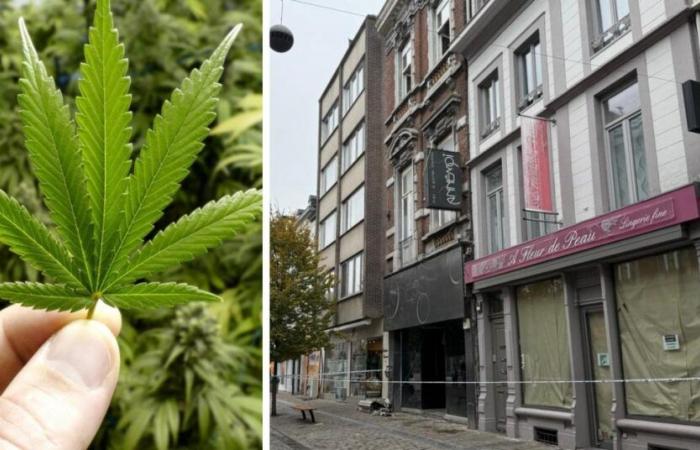 l’incendio nel centro di Verviers ha permesso la scoperta di una cultura importante!