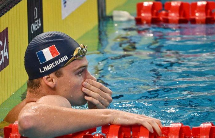 Léon Marchand ai Mondiali di nuoto: discipline, orari, canale… Il programma di Tolosa questo sabato