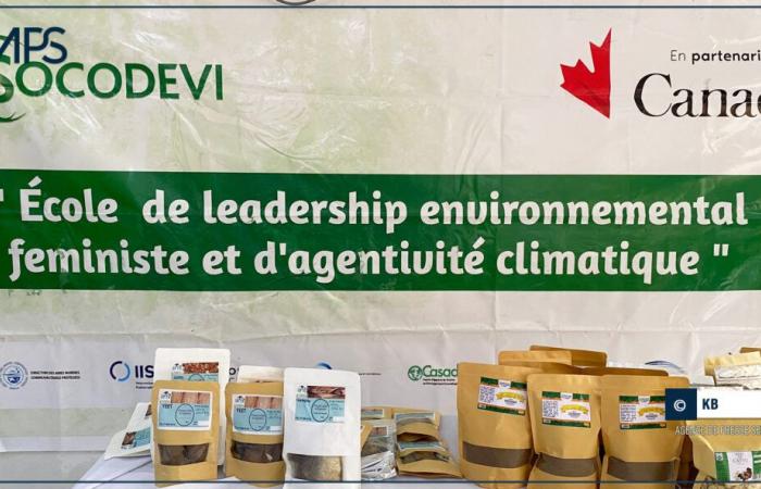 SENEGAL-ENVIRONNEMENT / Bignona: lancio del programma “Scuola di leadership femminista ambientale e agenzia per il clima” – Agenzia di stampa senegalese