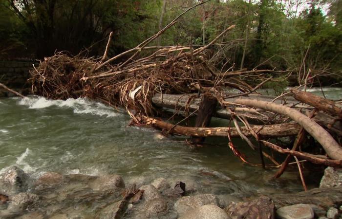 “Erano cortine d’acqua”, il giorno dopo in un villaggio della Lozère