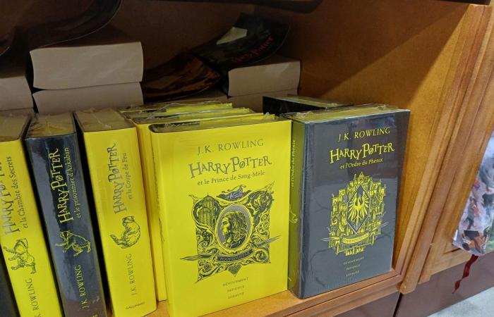 A Montauban i commerci entrano nell’atmosfera di Harry Potter