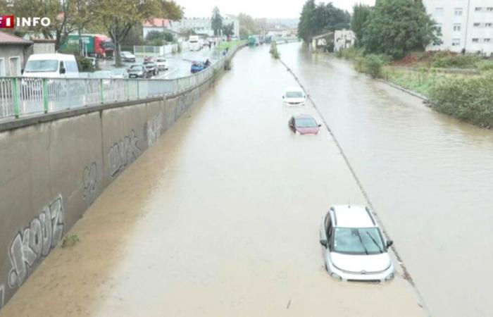 Alluvioni e alluvioni, come affrontarle? LCI ti risponde