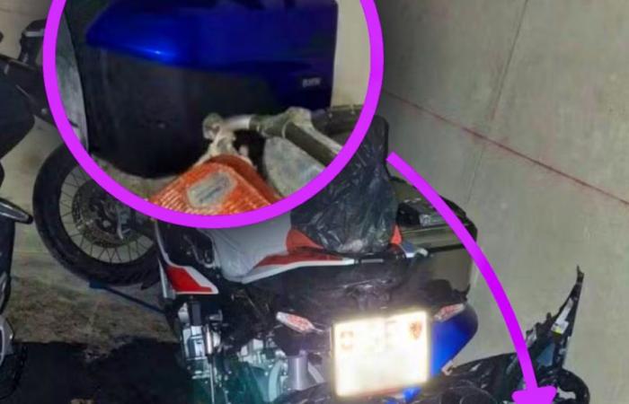 Moto rubate a Ginevra: “Nella foto c’è un mio pezzo!”