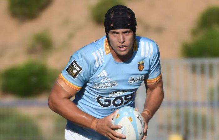 Top 14 – USAP: Adrien Warion, un giovane con l’aspetto di un vecchio