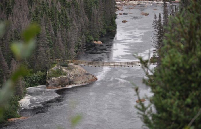 Il progetto dell’area protetta del Lago Walker è escluso dalle priorità del nuovo Piano Natura del Quebec